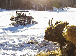 *NEW* Camso X4S Tracks System