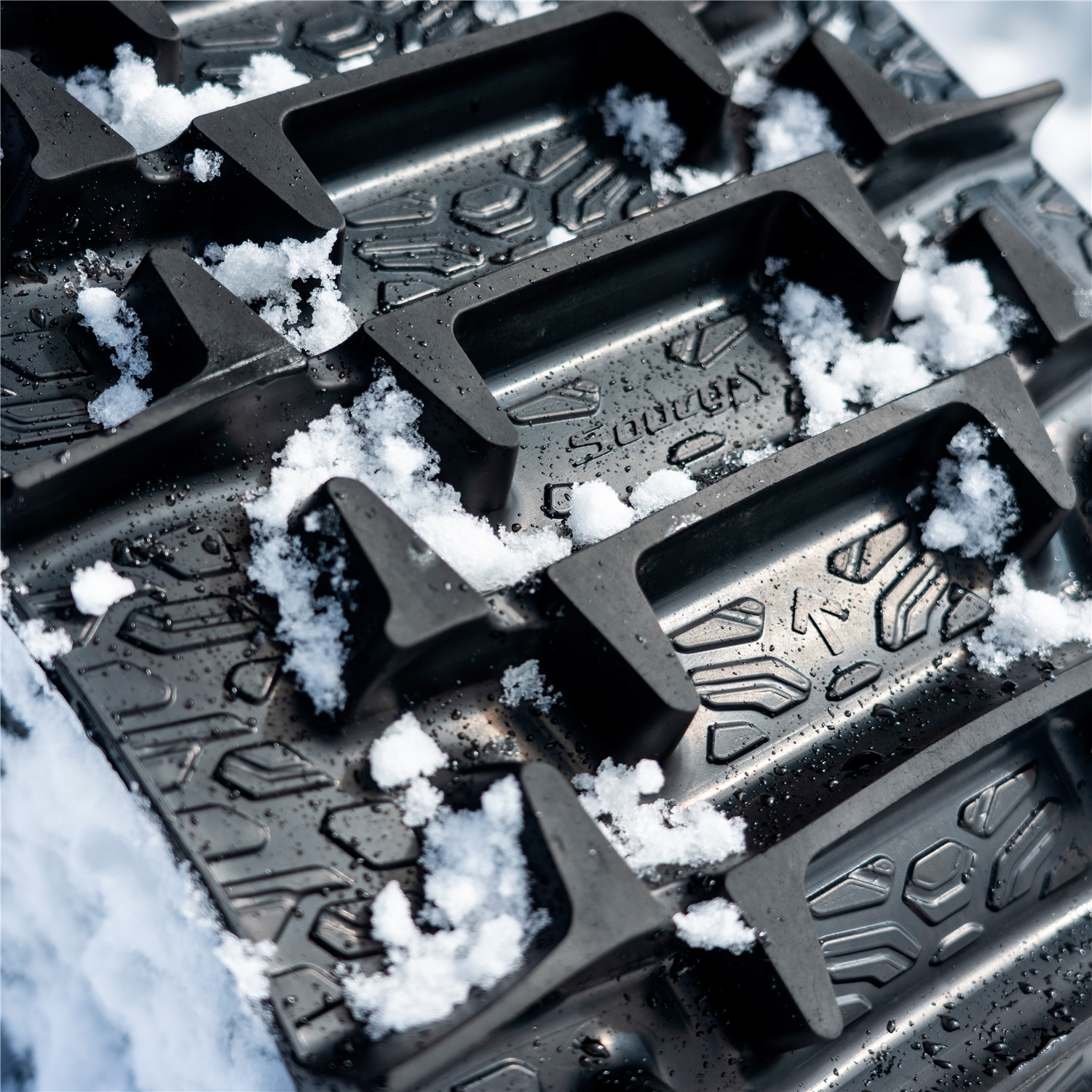 Ranger 1000 (2020) 5